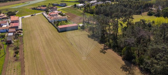 Дом с 4 спальнями в Соза, Португалия № 41901 42