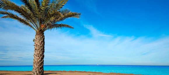 3 غرف نوم بانتهاوس في Denia, Spain رقم 16496 9