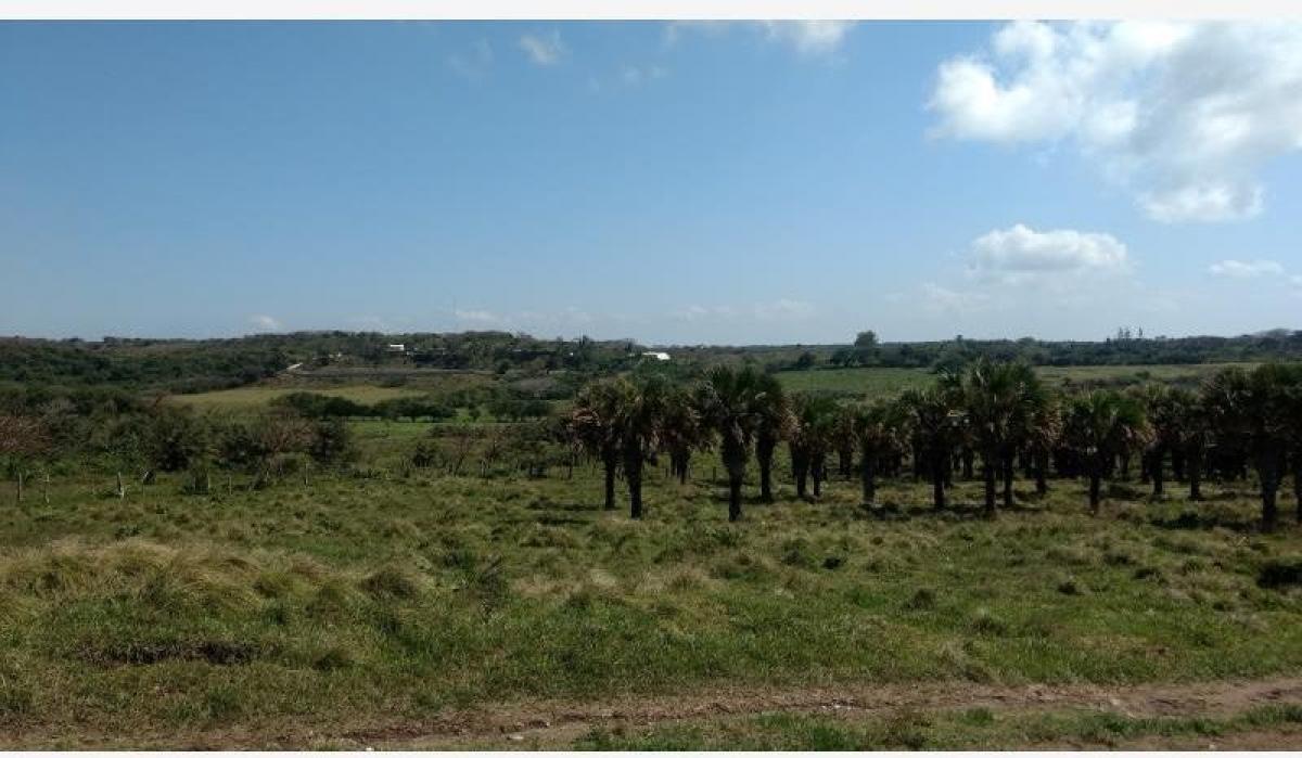 Terrain à Veracruz, Mexico No. 203051