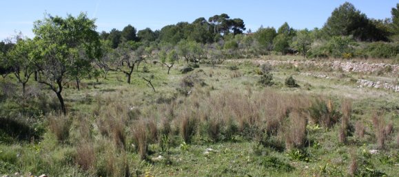 5 غرف نوم فيلا في Benissa, Spain رقم 759 3