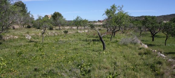 5 غرف نوم فيلا في Benissa, Spain رقم 759 7