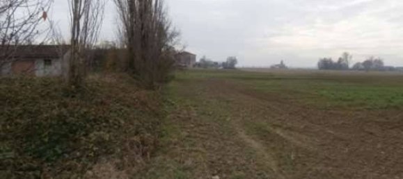 4 bedrooms House in Busseto, Italy No. 302535 5