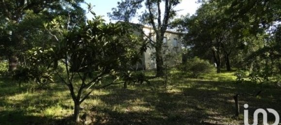 4 غرف نوم فيلا في Prunelli-di-Fiumorbo, France رقم 48135 24