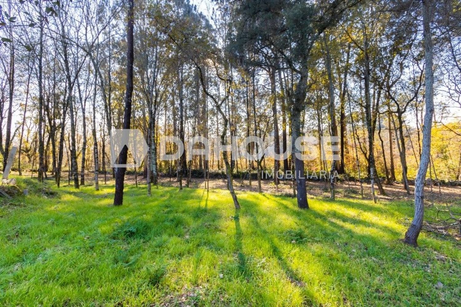  قطعة أرض في Vila Verde, Portugal 2000متر مربع رقم 61028