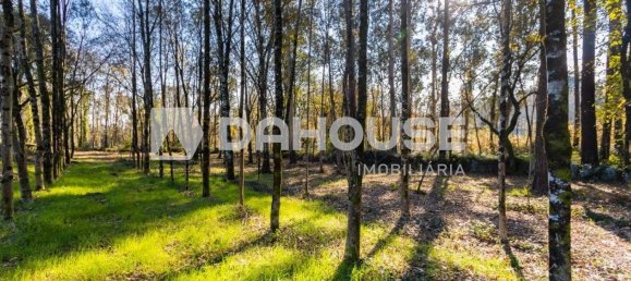 قطعة أرض في Vila Verde, Portugal 2000متر مربع رقم 61028 5