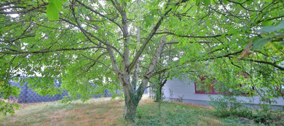 مستودع في Rhein-Neckar-Kreis, Germany 557متر مربع رقم 232465 12