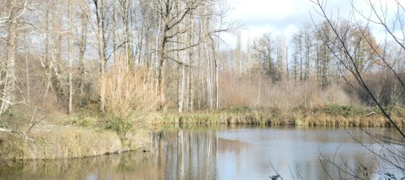 3 غرف نوم منزل في Saint-Gondon, France رقم 152583 15