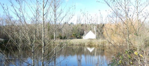 3 غرف نوم منزل في Saint-Gondon, France رقم 152583 14