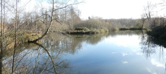 3 غرف نوم منزل في Saint-Gondon, France رقم 152583 2