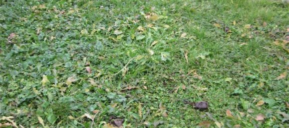 6-salle Maison à Salzano, Italy No. 115733 12