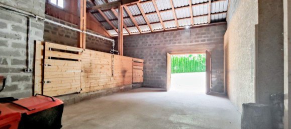 5 rooms Bungalow in Mariazell, Austria No. 159728 27