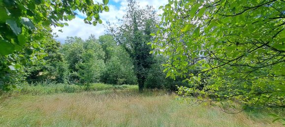 Casa de 3 dormitorios en Ambert, France No. 316561 18