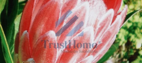 3 Schlafzimmer Haus in Sintra, Portugal, Nr. 147935 25