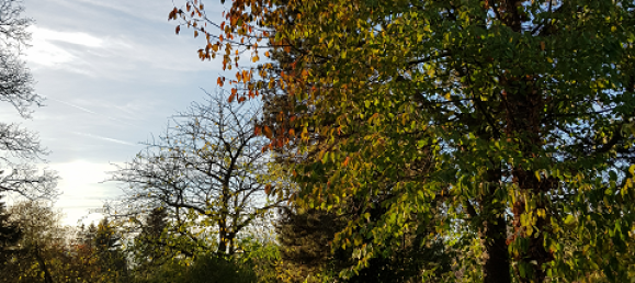 Moradia em banda T3 em Duren, Germany N.º 304047 8