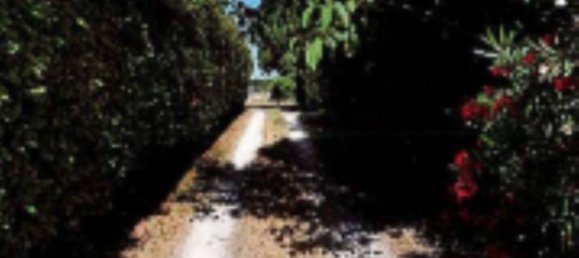 2 غرف نوم شقة في Vigarano Mainarda, Italy رقم 296830 3