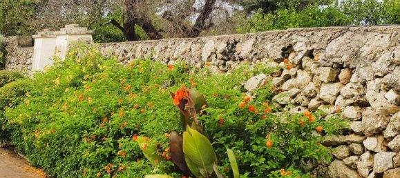 6 bedrooms House in San Donato di Lecce, Italy No. 217495 34