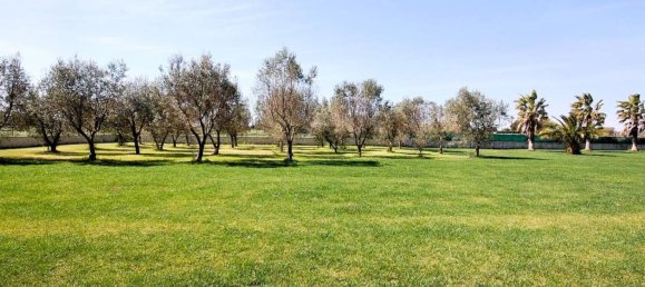 6 bedrooms House in San Donato di Lecce, Italy No. 217495 17