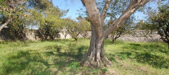 6 bedrooms House in San Donato di Lecce, Italy No. 217495 13