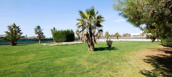 6 bedrooms House in San Donato di Lecce, Italy No. 217495 23