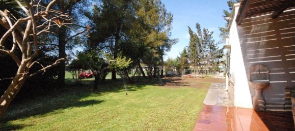 6 bedrooms House in San Donato di Lecce, Italy No. 217495 12