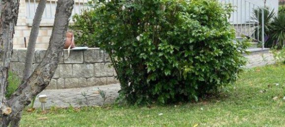 3-salle Maison à Trausdorf an der Wulka, Austria No. 178612 18