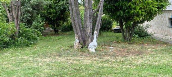 3-salle Maison à Trausdorf an der Wulka, Austria No. 178612 16