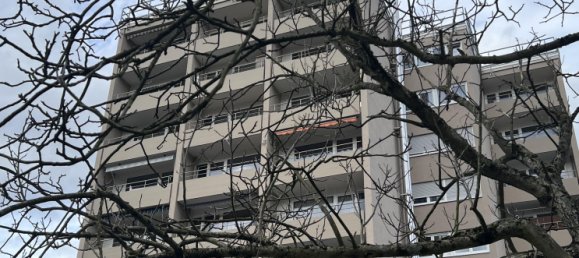 1 bedroom Apartment in Ortenaukreis, Germany No. 1194 2