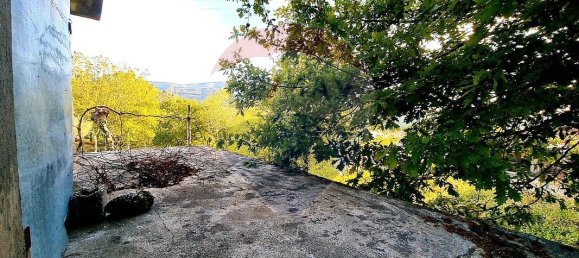 4360m² Land in Rossas, Portugal No. 25773 17