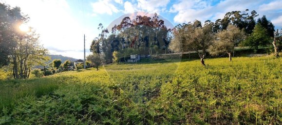 4360m² Land in Rossas, Portugal No. 25773 12