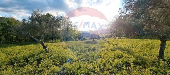 4360m² Land in Rossas, Portugal No. 25773 18