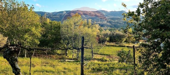 4360m² Land in Rossas, Portugal No. 25773 21