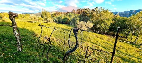 4360m² Land in Rossas, Portugal No. 25773 22