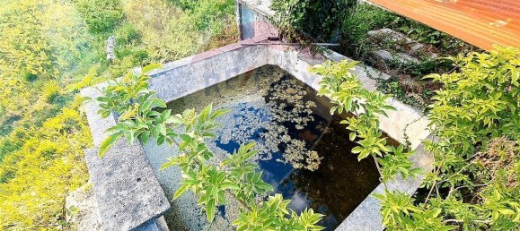 4360m² Land in Rossas, Portugal No. 25773 3