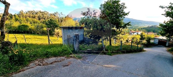 4360m² Land in Rossas, Portugal No. 25773 23