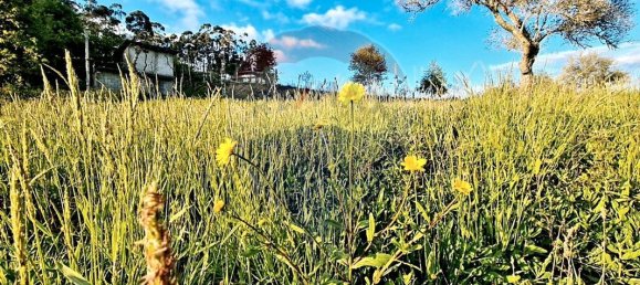 4360m² Land in Rossas, Portugal No. 25773 11