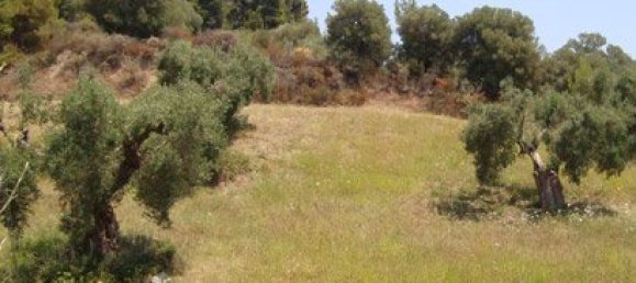 16500m² Hotel in Chalkidiki, Greece No. 8162 2