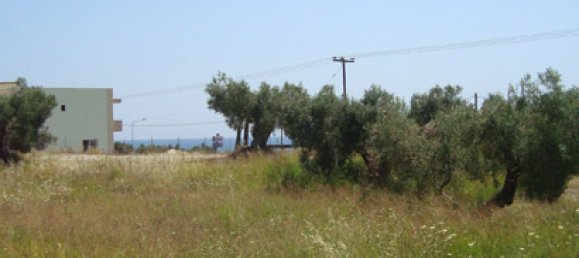 16500m² Hotel in Chalkidiki, Greece No. 8162 3