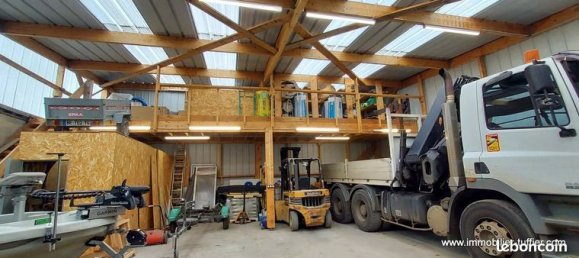 Propriété commerciale à Sarthe, France 260m² No. 310412 2