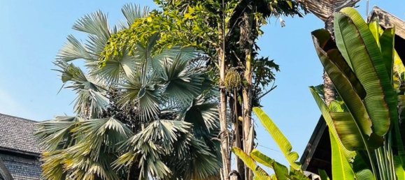 Terreno em Chiang Mai, Thailand N.º 57738 27