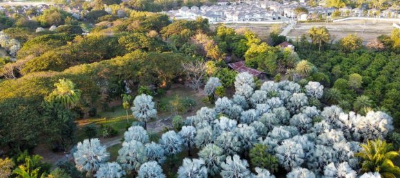 Terreno em Chiang Mai, Thailand N.º 57738 8