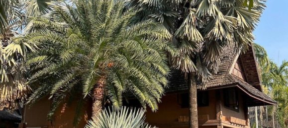 Terreno em Chiang Mai, Thailand N.º 57738 22