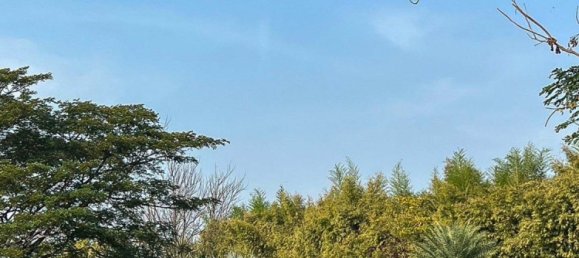 Terreno em Chiang Mai, Thailand N.º 57738 30