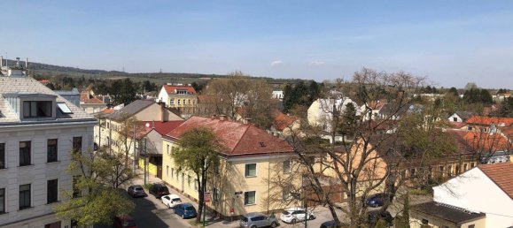 3 bedrooms Duplex in Vienna, Austria No. 116657 4