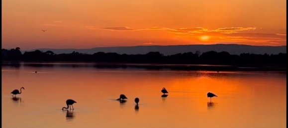 3 bedrooms House in Arles, France No. 205424 6