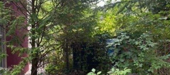 3 rooms Duplex in Lichterfelde, Germany No. 245978 8