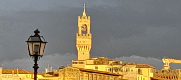 101m² Commercial property in Florence, Italy No. 39783 8