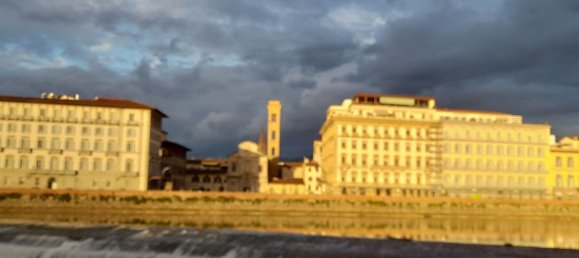 101m² Commercial property in Florence, Italy No. 39783 5