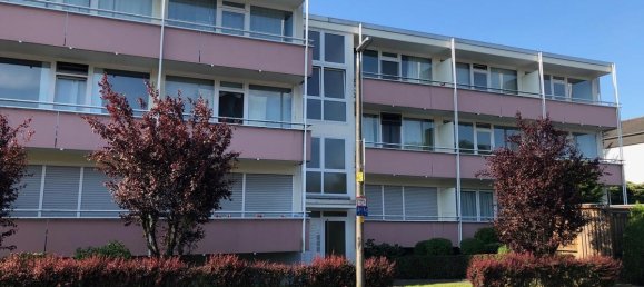 Студия в Рейн-Зиг, Германия № 209731 38