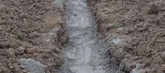 1-Zimmer Grundstück in Reggio Emilia, Italy, Nr. 233825 17