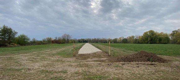 1-Zimmer Grundstück in Reggio Emilia, Italy, Nr. 233825 5